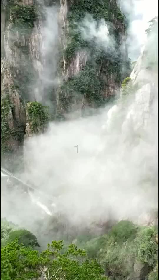 厦门两家餐馆被查！